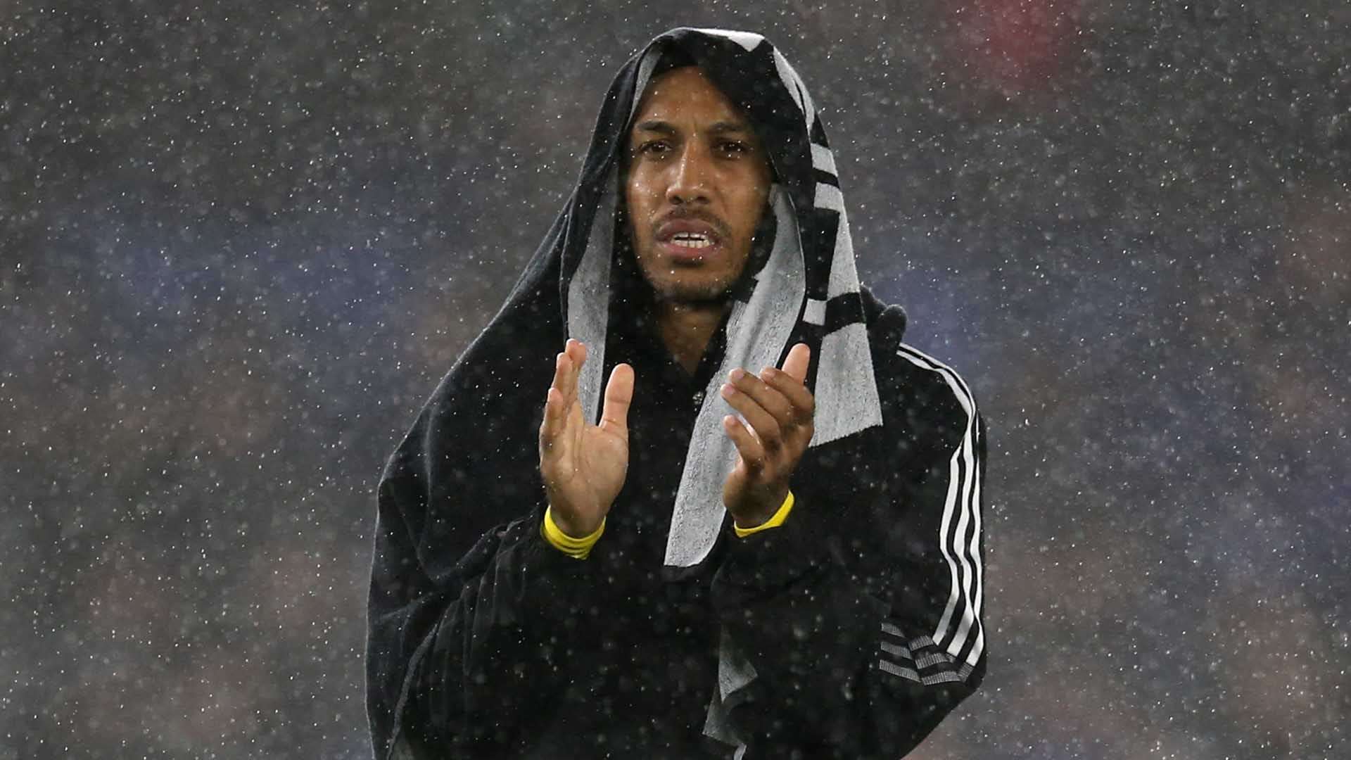 而森林狼也